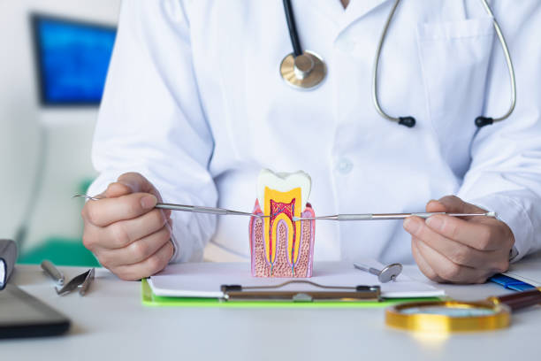 Best Emergency Wisdom Tooth Extraction in Spanish Lake, MO